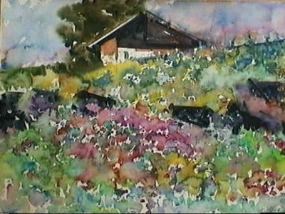 Haus mit Blumenwiese